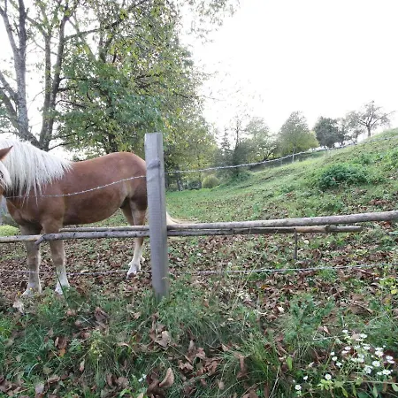 Cozy Holiday In Leibenfels With Barbecue Holiday home